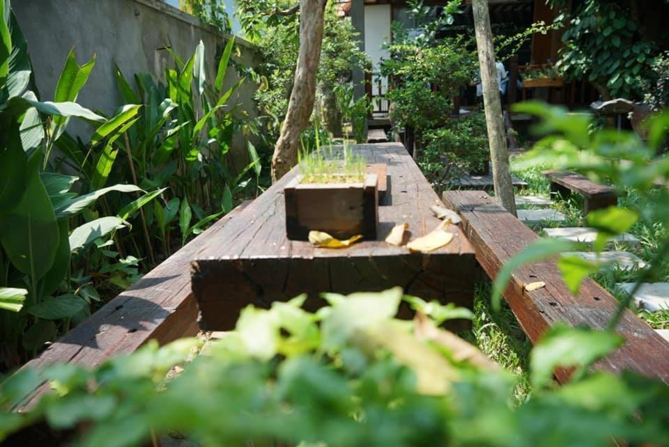Cat Homestay Hue Luaran gambar
