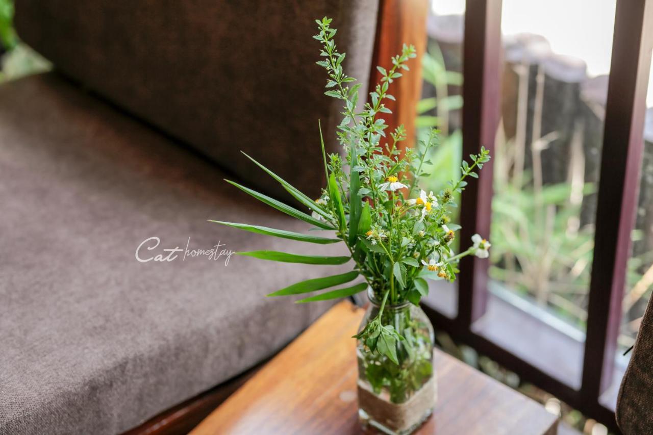 Cat Homestay Hue Luaran gambar